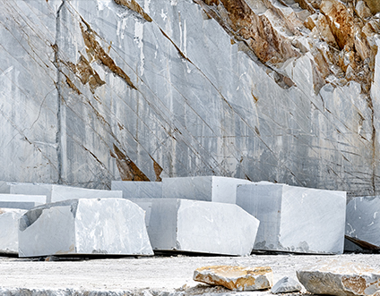 Escultura Co. de Jiangsu Xinyesheng, Ltd.